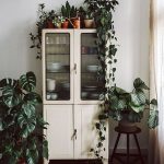 Un bufet inalt decorat cu plante: Idei si sfaturi pentru decorarea bufeturilor inalte