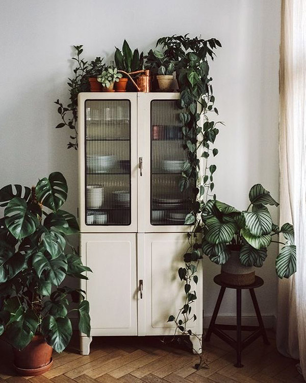 Un bufet inalt decorat cu plante: Idei si sfaturi pentru decorarea bufeturilor inalte